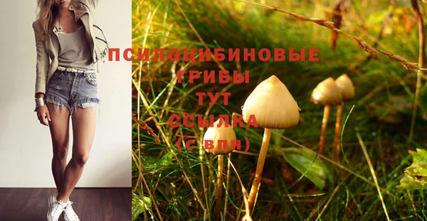 сатива Алексеевка