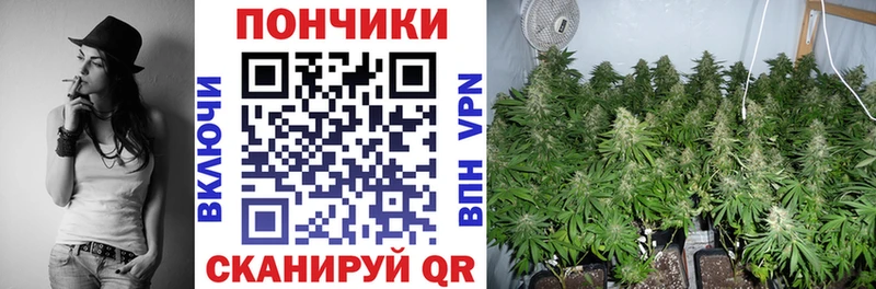 где можно купить   Фролово  Каннабис гибрид 